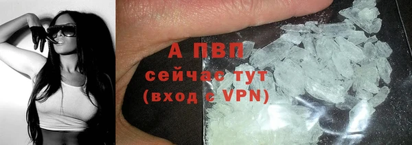 мяу мяу мука Тутаев
