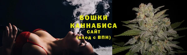 амф Туринск