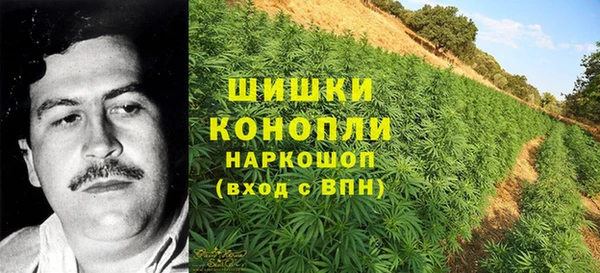 амф Туринск