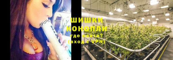 амф Туринск