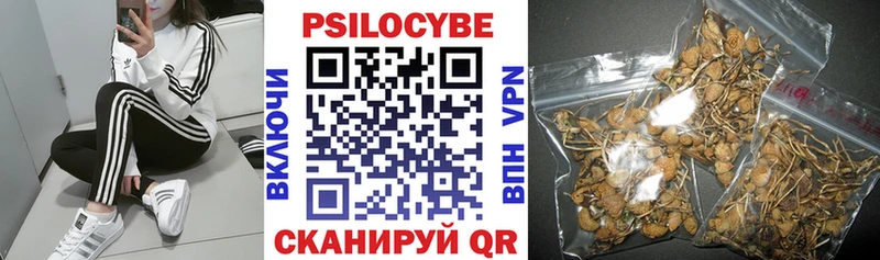 Галлюциногенные грибы Psilocybine cubensis  магазин  наркотиков  Усть-Катав 